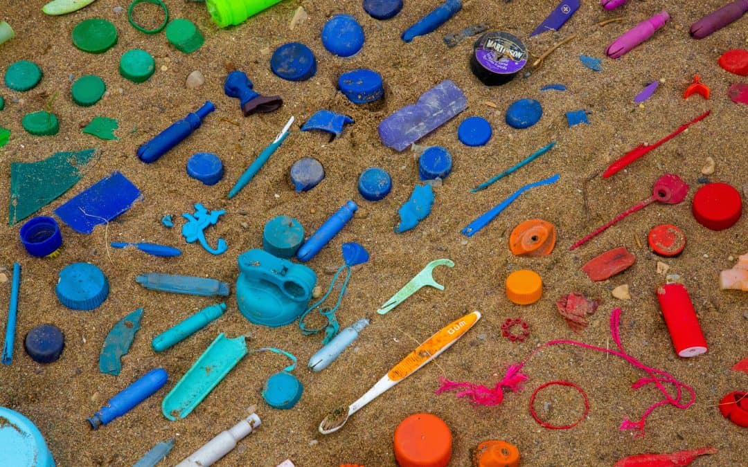 Tackling the environmental threat of single use plastics – Is there such a thing as a Biodegradable Plastic?